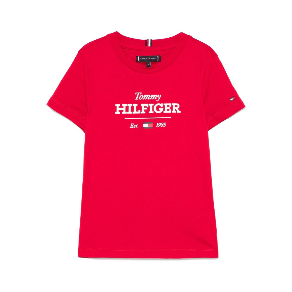 TOMMY HILFIGER T-shirt...