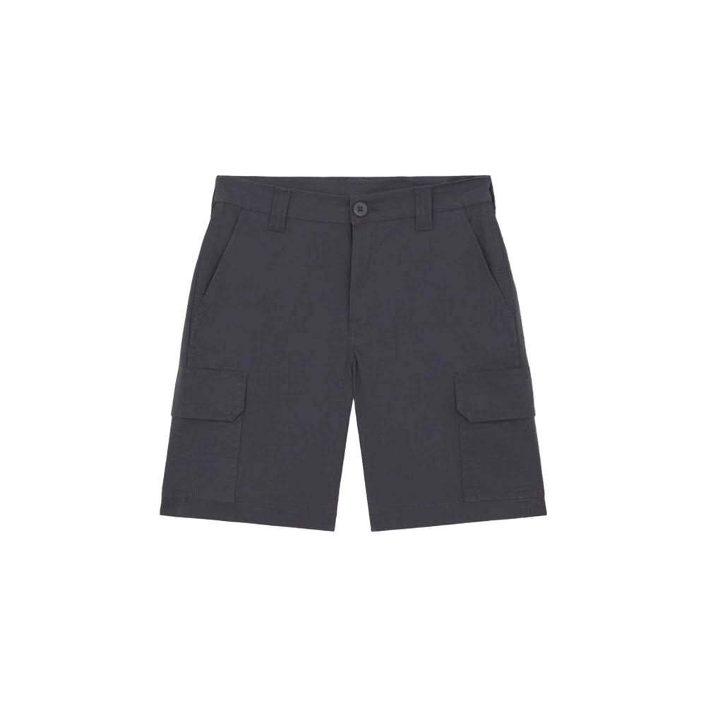 DICKIES Shorts antracite...