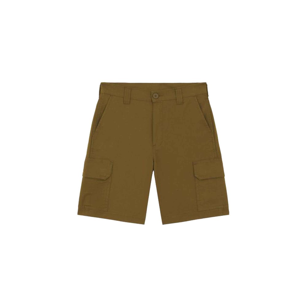 DICKIES Shorts verdi cargo...