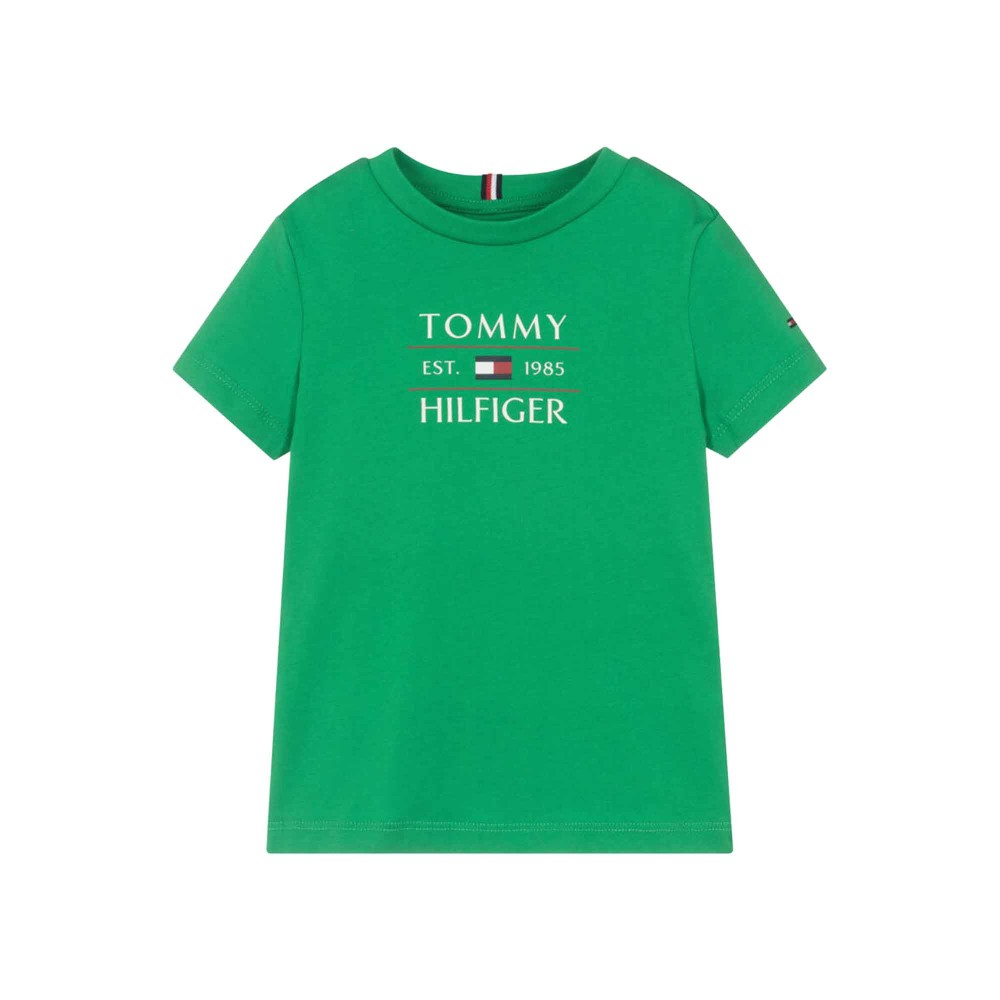 TOMMY HILFIGER T-shirt...